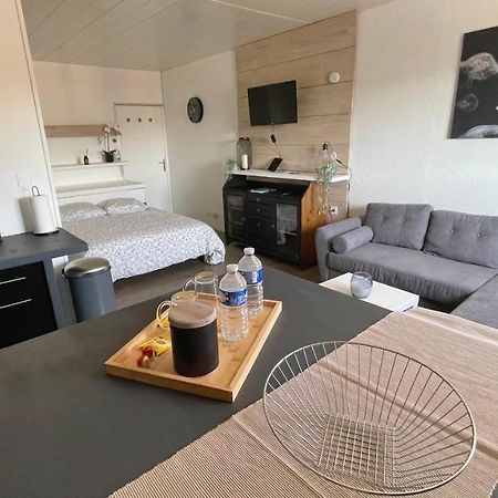 Studio Cocooning Hauteur De Saint-Raphael #2 Екстер'єр фото