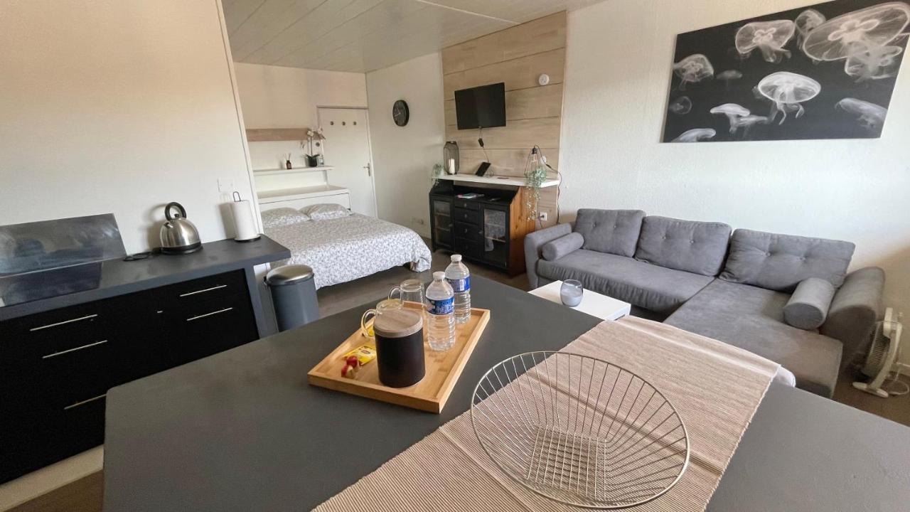 Studio Cocooning Hauteur De Saint-Raphael #2 Екстер'єр фото
